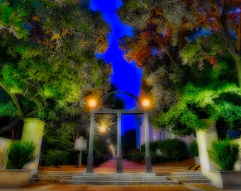 A print or canvas of the Arch at the University of Georgia.  Add a name and class year to the picture at no cost.