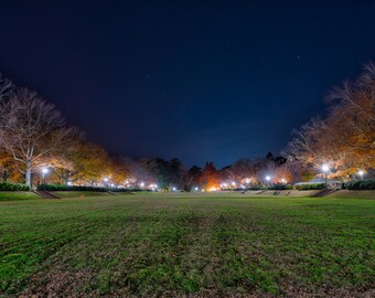 A print or canvas of the Sunken Garden at William and Mary