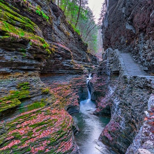 Watkins Glen State Park