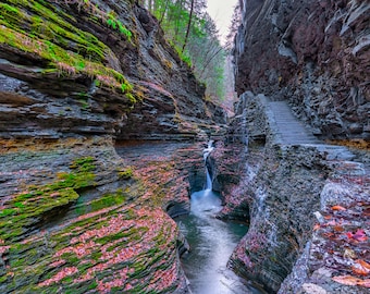 Watkins Glen State Park