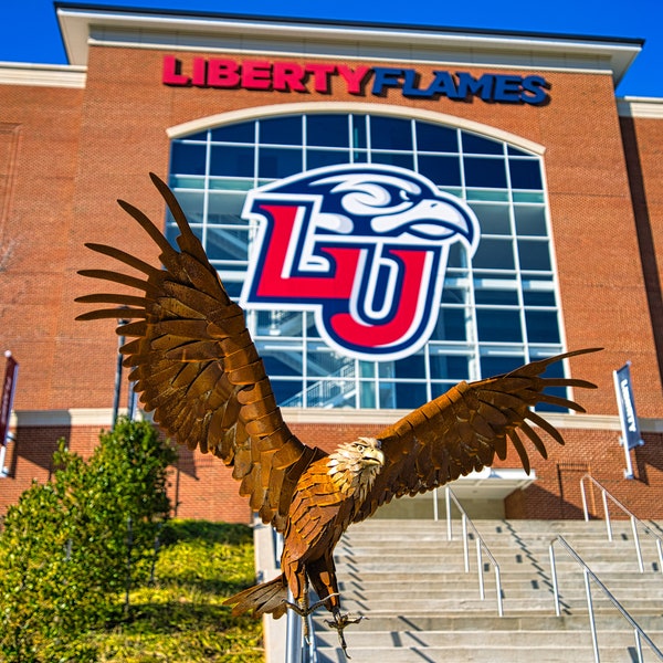 Liberty University Mascot Sweatshirts Etsy