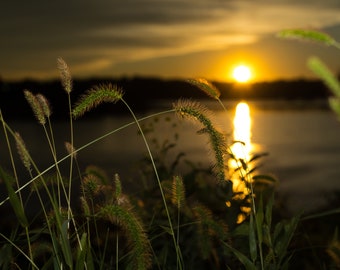 Sunset at the bank of the river