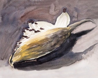 Milkweed Pod 5x7 Card