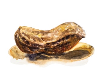Peanut 5x7 Card