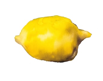 Lemon 5x7 Card