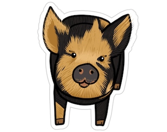 Nugget the Kunekune Pig Sticker