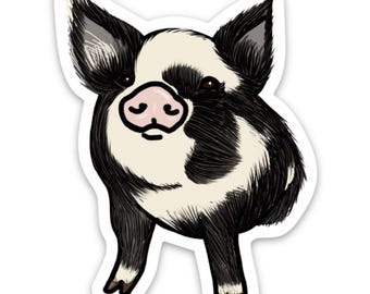Playful Black & White Kunekune Pig Sticker