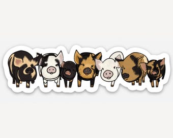 Kunekune Pig Pack Bumper Sticker