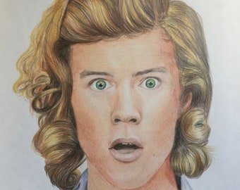 Portrait personnalisé, portrait de Harry Styles, crayons de couleur sur papier A3