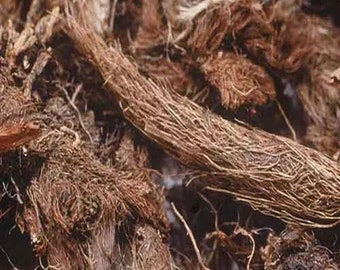 Organic Jatamansi root, 100% Natural Jatamansi Powder, Nardus root,Balchar,Nardostachys ,Jatamansi, jatamansi,Muskroot Indian Spikenard