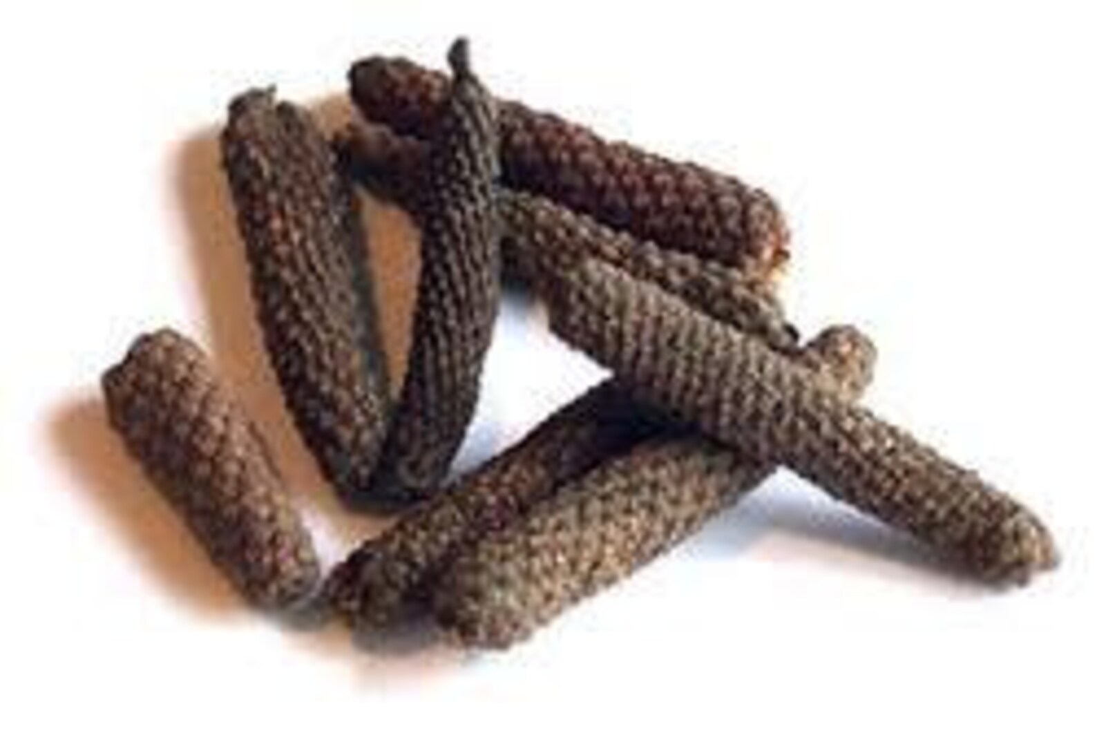 Long Pepper Pipli Piper Longum Indian Long Pepper 100 Grams Etsy
