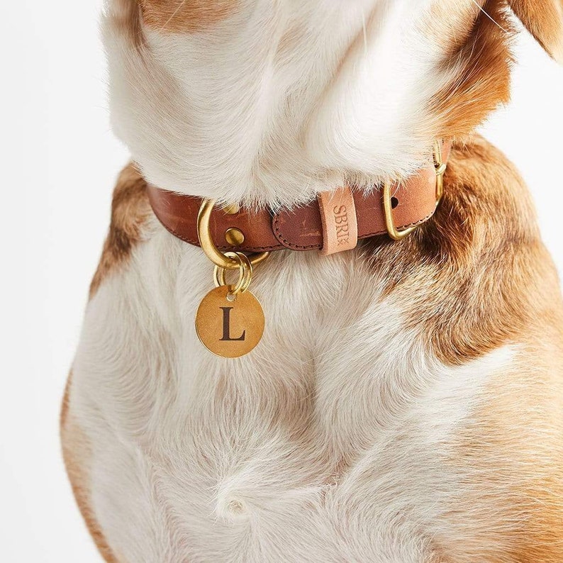 Personalised Brass Dog ID Tag Engraved Name Tag for Pet Collar with Personalized Name or Initials image 3