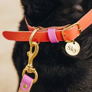 Luxury Leather Dog Collar with Personalised ID Tag | Fun Colourful Custom Made Dog Collar for Small Dogs and Large Dogs | Vegetable Tanned