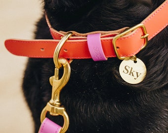 Luxury Leather Dog Collar with Personalised ID Tag | Fun Colourful Custom Made Dog Collar for Small Dogs and Large Dogs | Vegetable Tanned