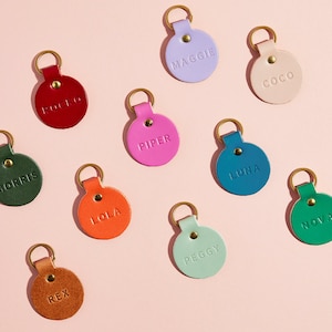 Médaillon personnalisé en cuir pour animal de compagnie | Médaille décorative en cuir avec nom de chien | Médaille d'identité pour chien en cuir coloré de luxe | Médaille personnalisée pour animal de compagnie