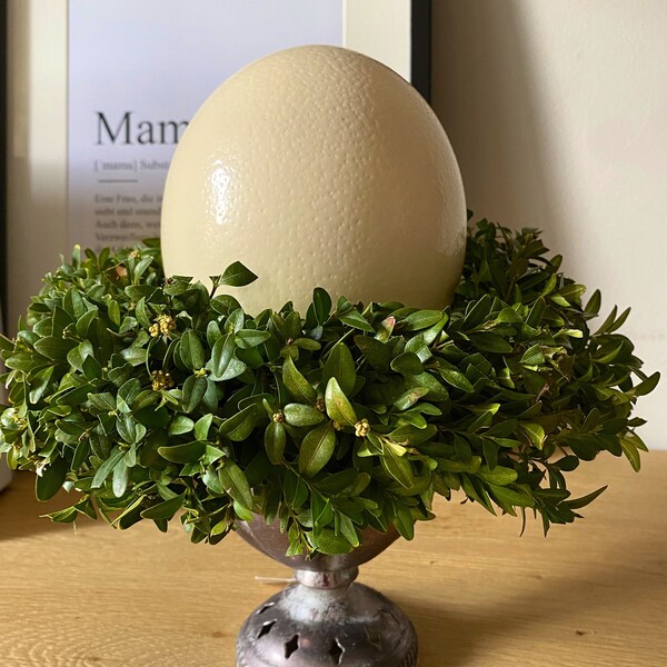 Ostergesteck in Pokalvase mit echtem Buchsbaumkranz und Straußenei Frühlingskranz