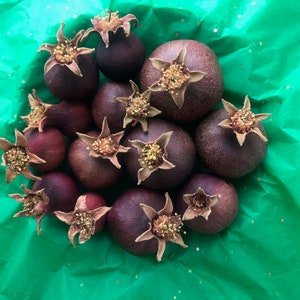 Small organic dried pomegranates