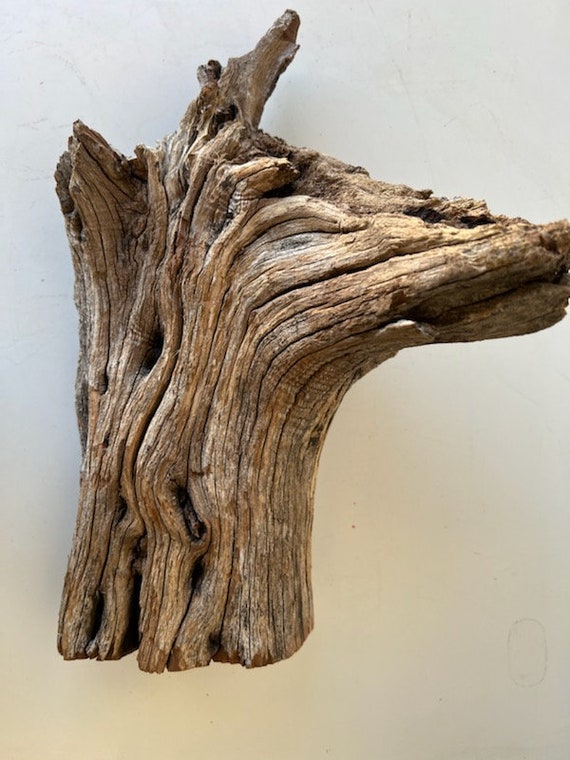 Organic Manzanita Stump Etsy