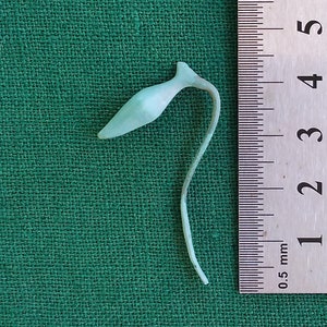 Boucle d&#39;oreille scythe amphore Scythes 6-4 siècle avant J.-C. belle patine bronze