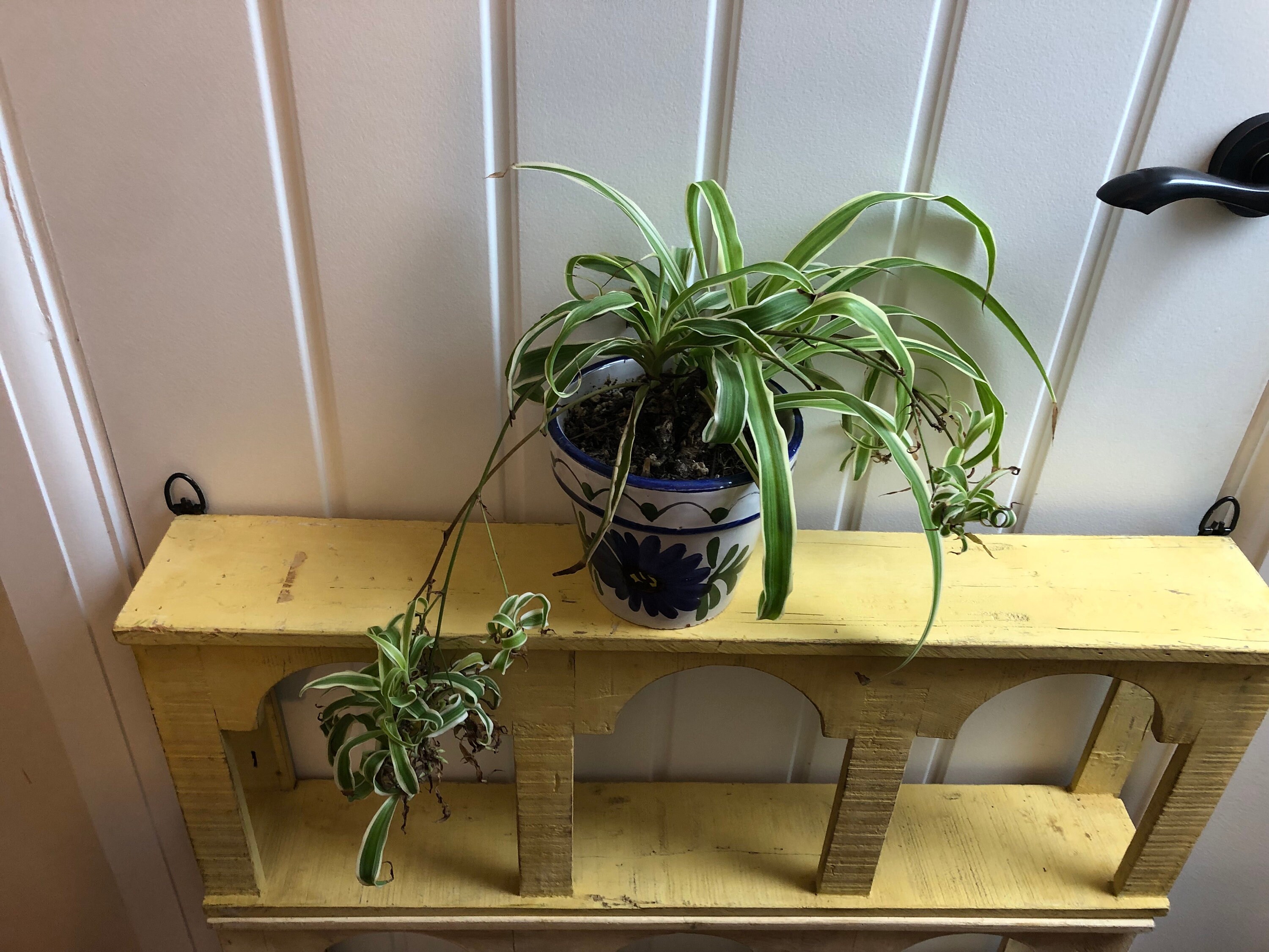 Indian Reclaimed Shelf, Arch Shelves Temple Shelf, Hand Painted Shelf