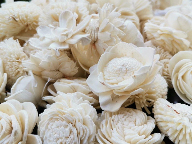 100pcs Sola Wood Flower Assortment Wooden Flowers Etsy