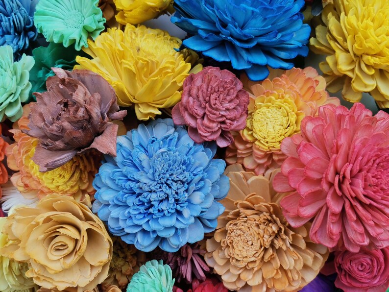 100pcs Sola Wood Flower Assortment Wooden Flowers Etsy
