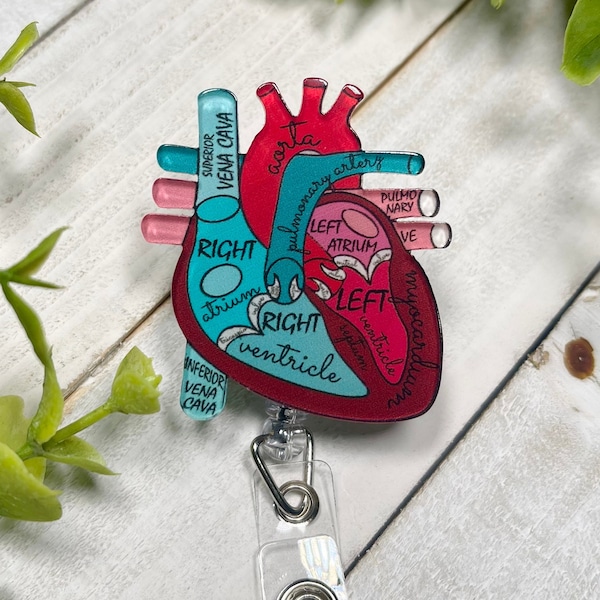 Anatomical Heart Badge Pull Reel, Nurse Badge Reel, Cardiac Nurse Badge Reel, ICU Nurse Badge Reel, ER Nurse Gift Idea, RN, Lpn