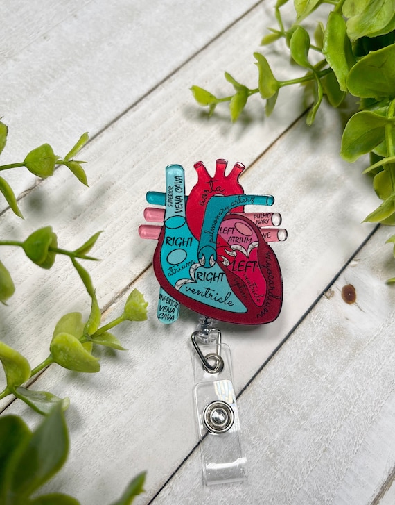 Anatomical Heart Badge Pull Reel, Nurse Badge Reel, Cardiac Nurse Badge Reel,  ICU Nurse Badge Reel, ER Nurse Gift Idea, RN, Lpn 
