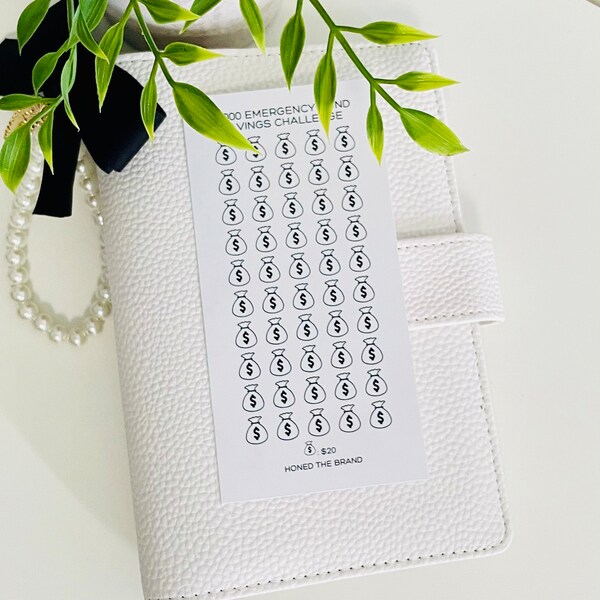 1000 dollar emergency fund savings challenge // Reusable laminated challenge, Zipper cash envelopes, A6 hole punched tracker envelope