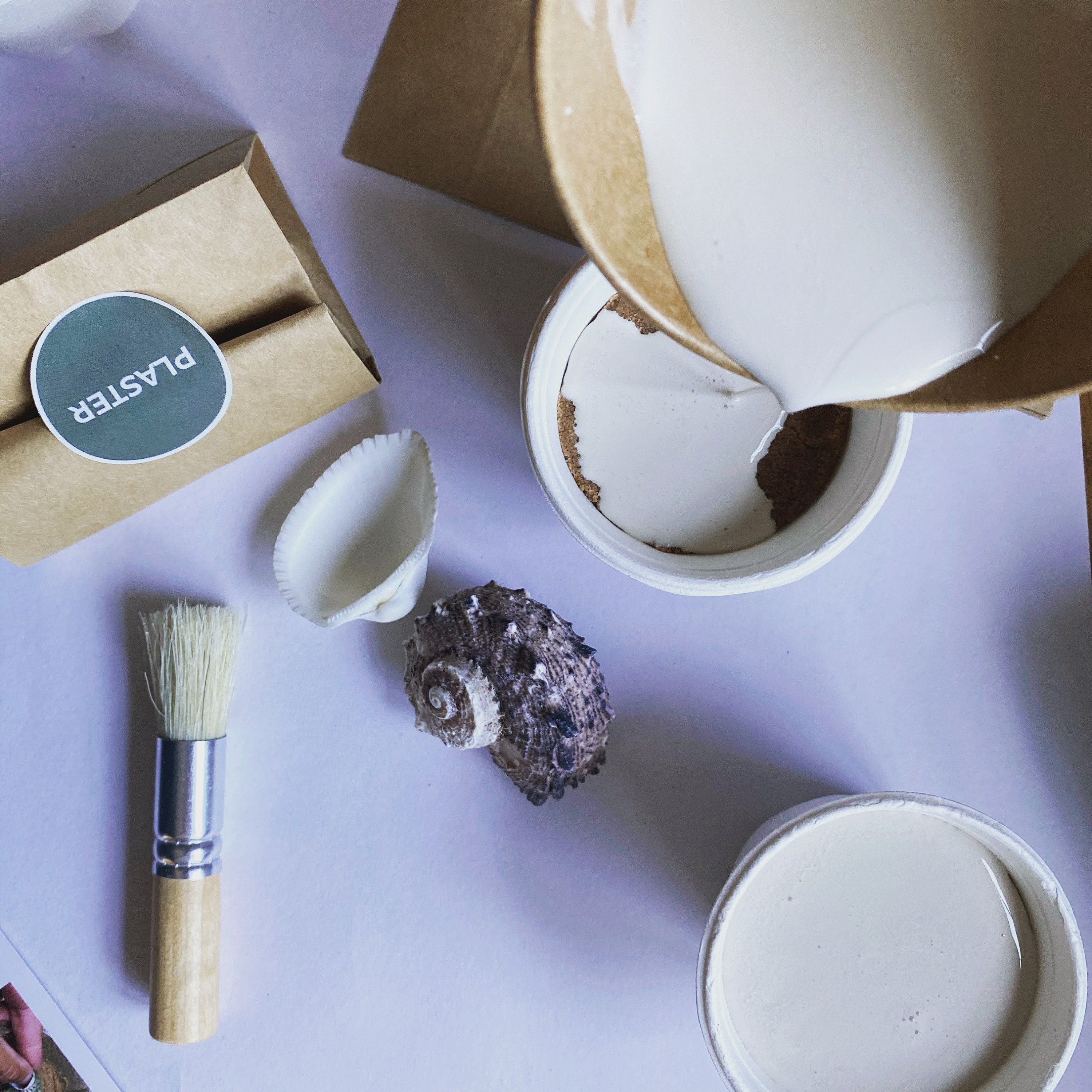 Fossil Making Plaster Kits Etsy UK