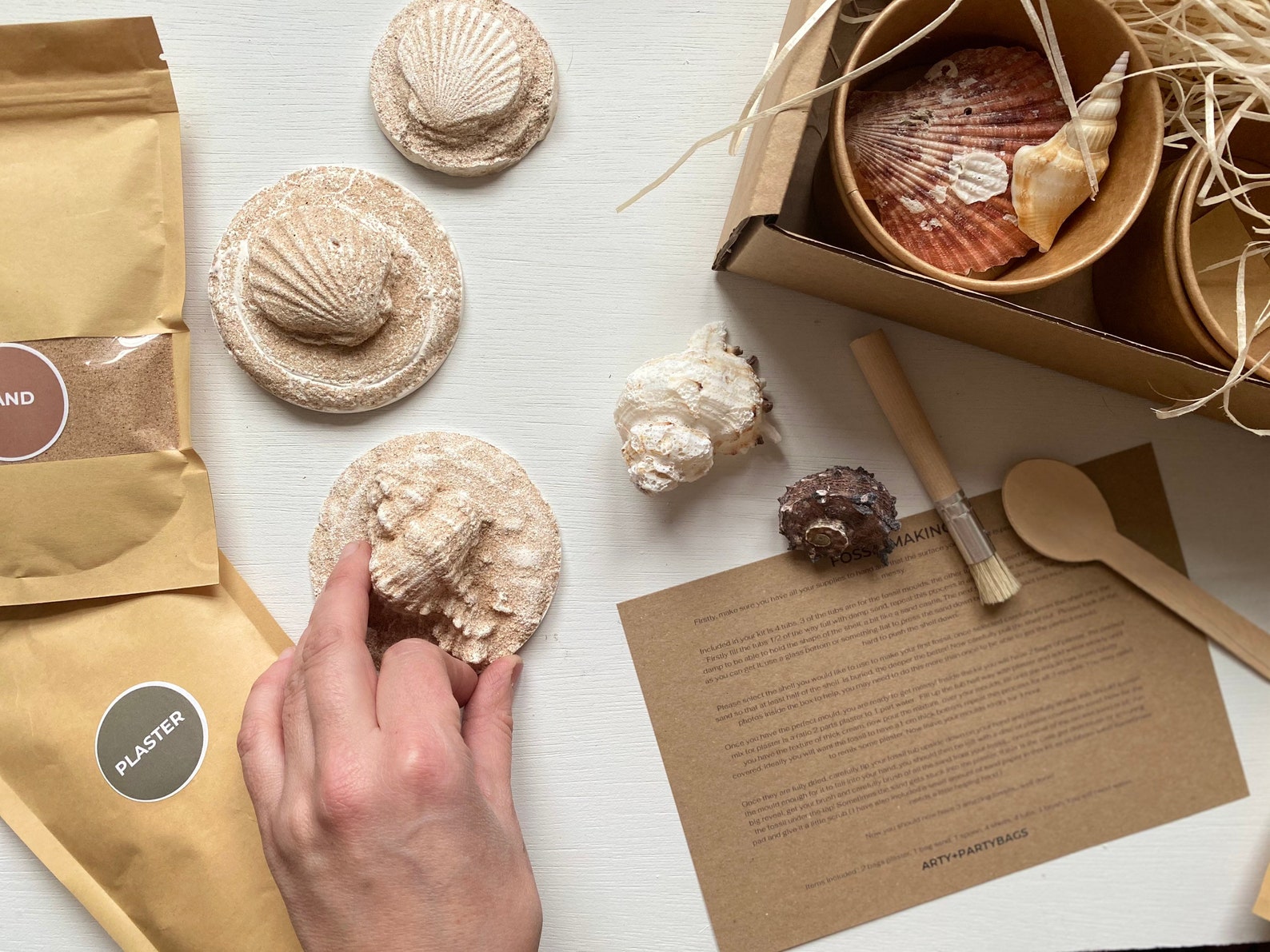 Fossil making plaster kits Etsy