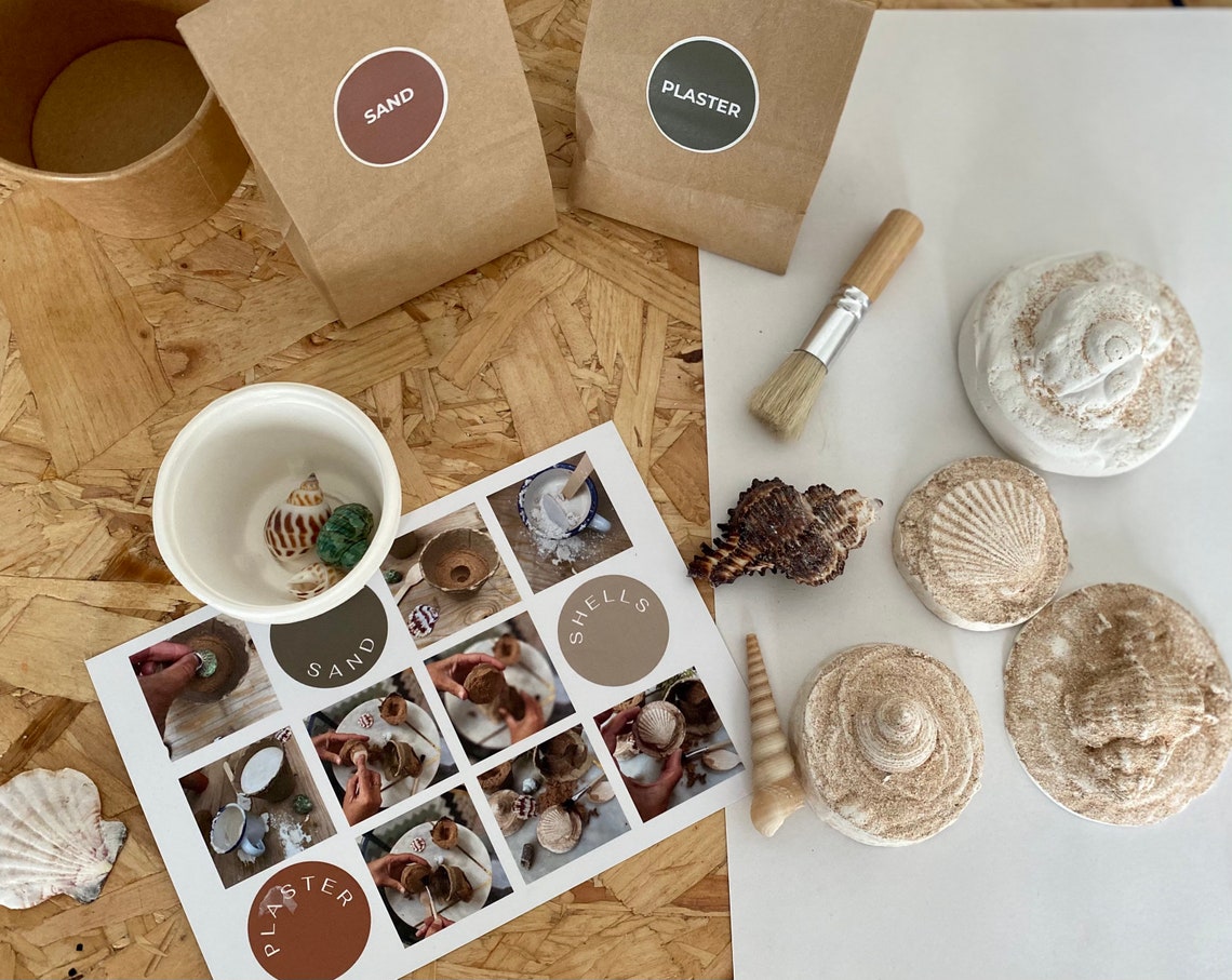 Fossil Making Plaster Kits Etsy UK