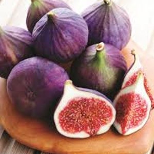 FIG TREES -24 to 36 Inches Tall - Free Shipping - Edible Fruit - Full Sun Loving Trees - Producing Now!