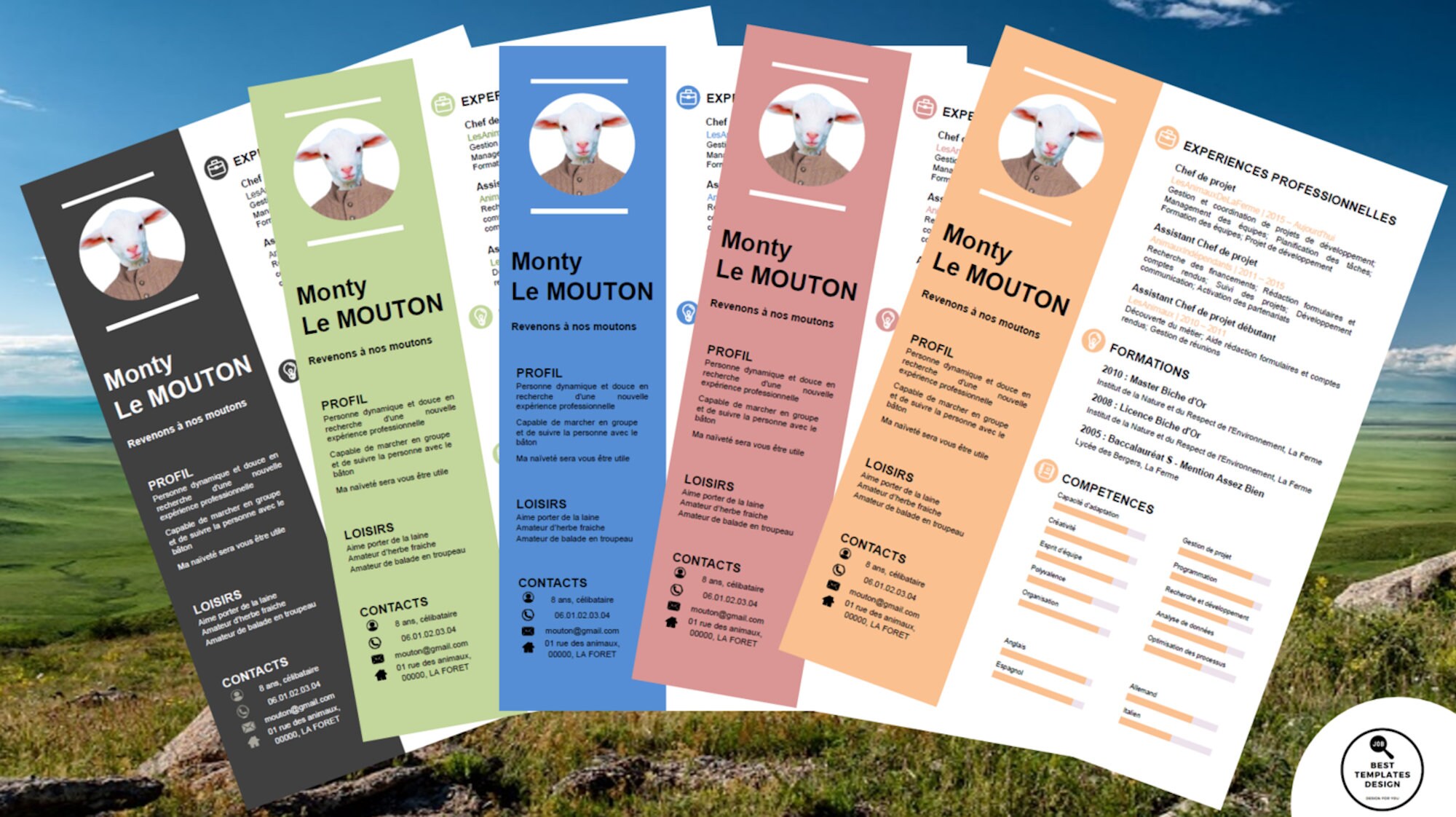 Traditions templates and group leaders image