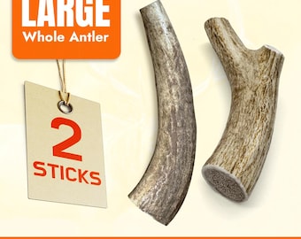 Elk Antler Dog Chew for Large Dogs – 2 Pack Whole Naturally Shed Elk Antlers, Premium Grade A Long-Lasting Chews