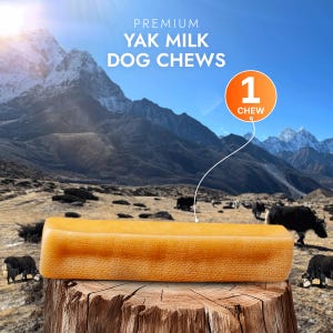 Yak Milk Bones for Large dogs - 1pc, Natural Hard Cheese Chews for Aggressive Chewers, Gluten Free Dog Treat