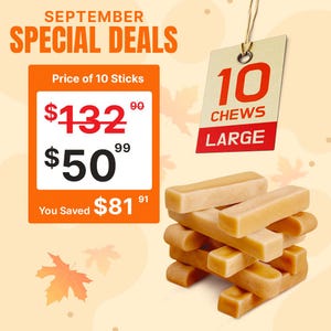 2 lb Himalayan Yak Cheese Large Dog Chew: Long Lasting, All Natural