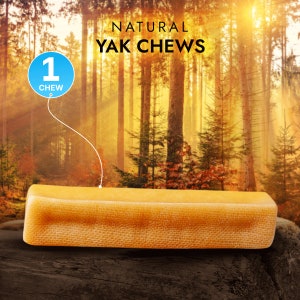 Yak Milk Chew Bone for XL Dogs: Long Lasting Natural Dental Treat (1 pc)