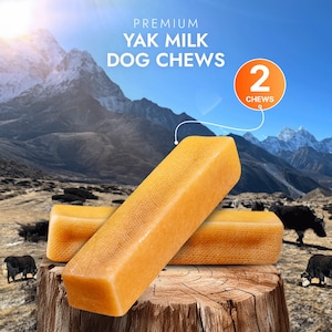 Yak Cheese Dog Chews for Large Dogs – 2pc Long Lasting Natural Dental Treat