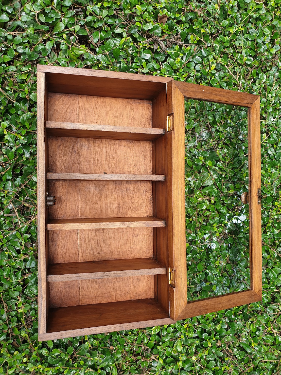 Small Wall Curio 1 Door 5 Shelves Display Case hung On Etsy