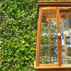Puede incluir: Una vitrina de madera con estantes de vidrio y un marco de madera tallado. La vitrina tiene un acabado marr&oacute;n claro y est&aacute; sentada contra un fondo verde frondoso.