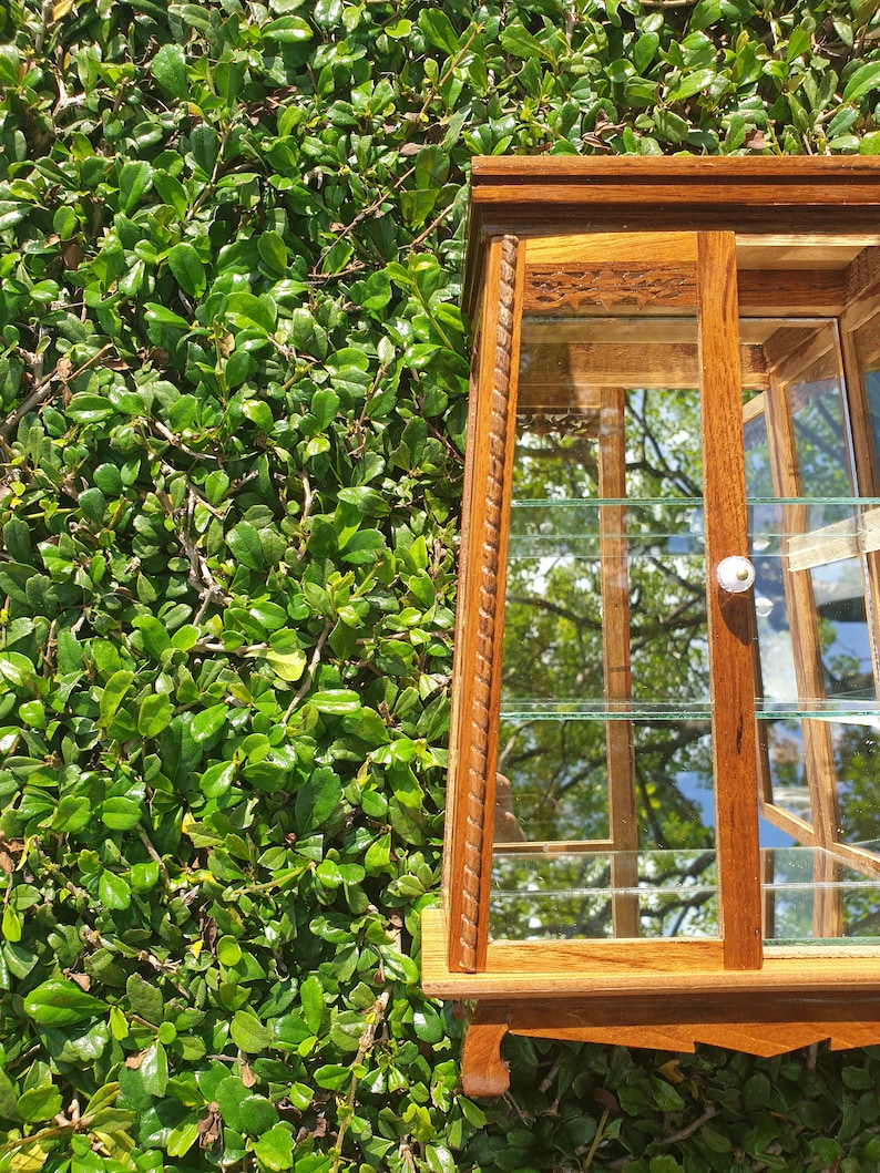 Puede incluir: Una vitrina de madera con estantes de vidrio y un marco de madera tallado. La vitrina tiene un acabado marr&oacute;n claro y est&aacute; sentada contra un fondo verde frondoso.