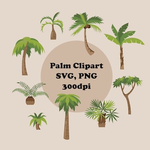 Palm Clipart - SVG, PNG - 9 Imágenes - Palmera - Árbol - Isla - Planta - Palmeras Caricature - Jungle Coconut - - descarga instantánea