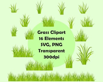 Grass, Lawn Clipart - Transparent - PNG, SVG - Green - Alm - Pasture - Meadow - Plant - Shrub - Herb - Bush - instant digital download