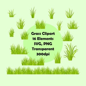 Grass, Lawn Clipart - Transparent - PNG, SVG - Green - Alm - Pasture - Meadow - Plant - Shrub - Herb - Bush - instant digital download