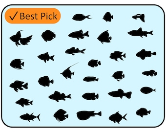 30 Ocean Fish Animals Clipart - Fishy Elements - SVG, PNG - Silhouettes Graphic - Commercial Use Instant Download