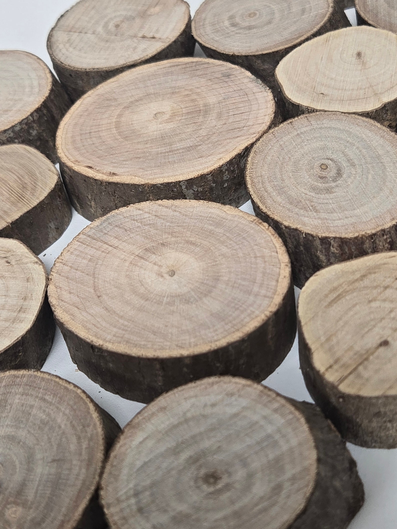 Bag of Hardwood Craft Slices Rustic Craft DIY Ornaments Round Disc - Etsy
