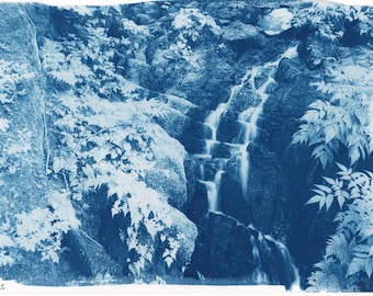 Cascata, sentiero Dan Moller, Juneau, Alaska: cianotipia originale (6,7"x10")