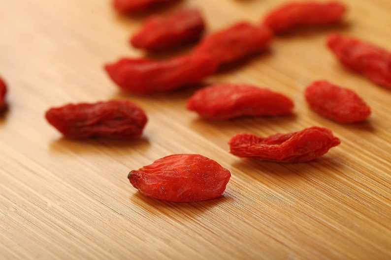 Live Goji Berry Plant /'Wolfberry/' Lycium barbarum Organic Tree Seedling Sapling Perennial Superfood Antioxidant Red Fruit Non-gmo Rare Gift