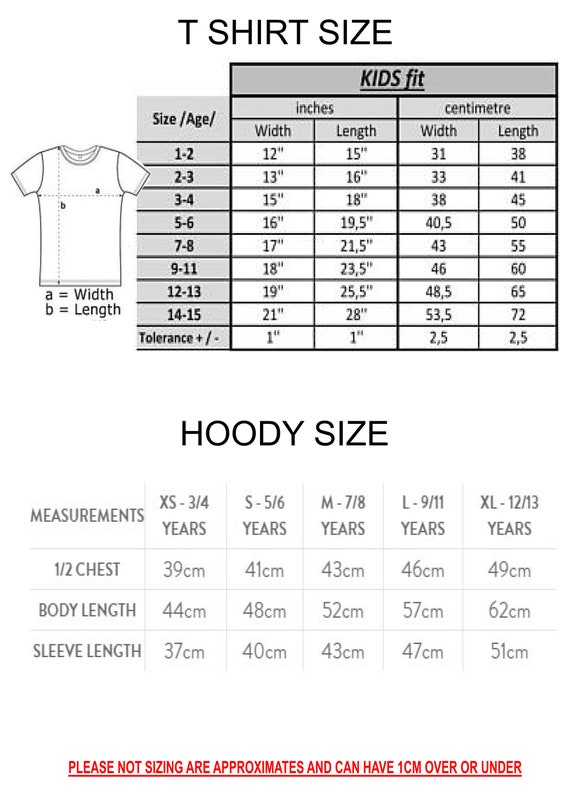Kids Roblox Gaming Hoodie / T Shirt 